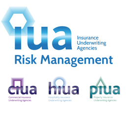 Insurance Underwriting Agencies Risk Management